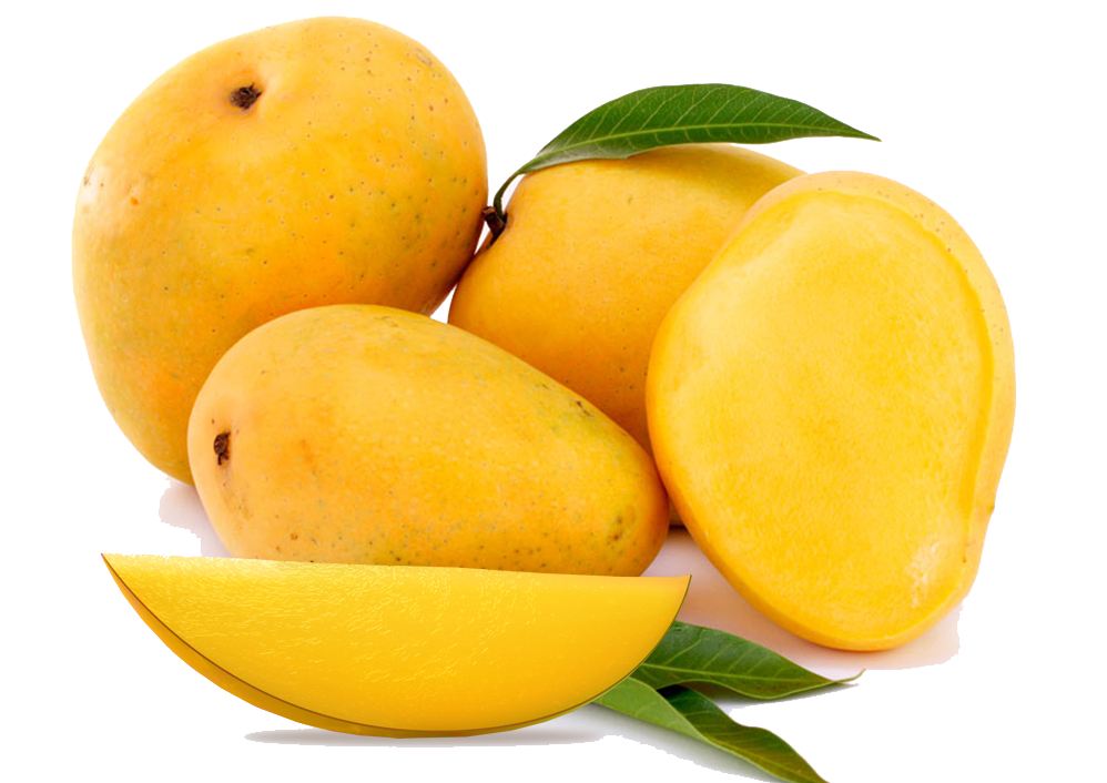 goldenmangoes.hwebtech.in